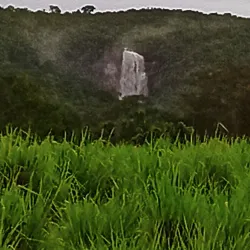 Trilha Ecológica de Colíder - Colíder