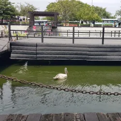 Beira Lake - Colombo