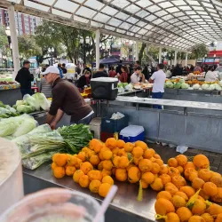 Feira do Produtor - Concórdia