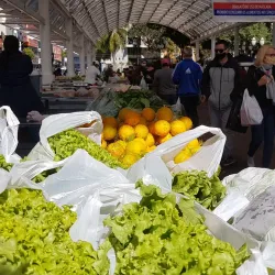 Feira do Produtor - Concórdia