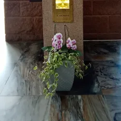 Igreja Matriz São Paulo Apóstolo - Concórdia