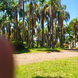 Parque das Palmeiras - Concórdia