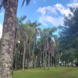 Parque das Palmeiras - Concórdia