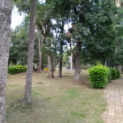 Parque das Palmeiras - Concórdia