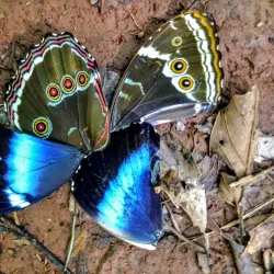 Parque Natural Municipal - Concórdia