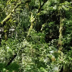 Parque Natural Municipal - Concórdia