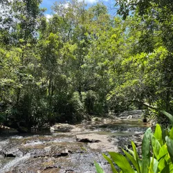 Parque Natural Municipal - Concórdia