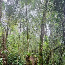 Parque Natural Municipal - Concórdia