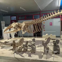 Museu de Zoologia da Unesc - Criciuma