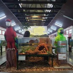 Museu de Zoologia da Unesc - Criciuma