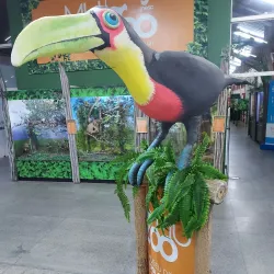 Museu de Zoologia da Unesc - Criciuma