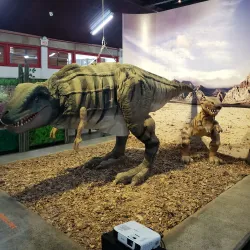 Museu de Zoologia da Unesc - Criciuma