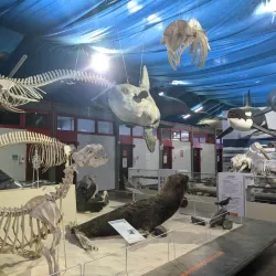 Museu de Zoologia da Unesc - Criciuma