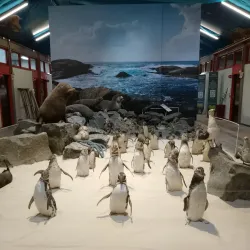 Museu de Zoologia da Unesc - Criciuma