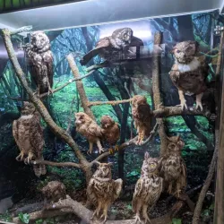 Museu de Zoologia da Unesc - Criciuma