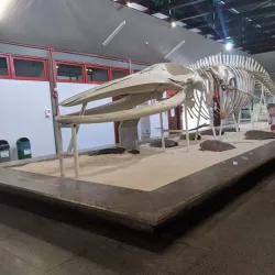 Museu de Zoologia da Unesc - Criciuma