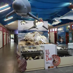Museu de Zoologia da Unesc - Criciuma