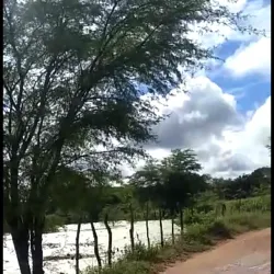 Rio Pajeú - Custódia