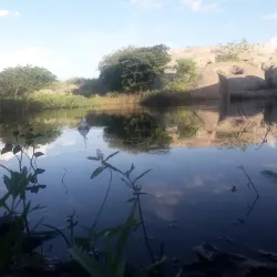 Rio Pajeú - Custódia