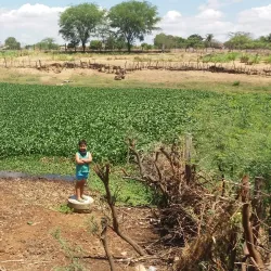 Rio Pajeú - Custódia