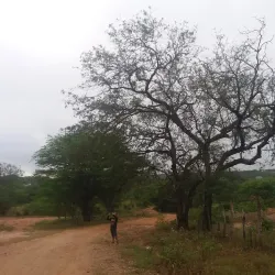 Rio Pajeú - Custódia