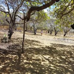 Rio Pajeú - Custódia