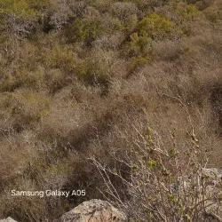 Serra Negra - Custódia