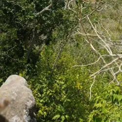 Serra Negra - Custódia