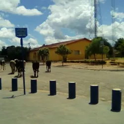 Festival de Divinópolis de Goiás - Divinopolis de Goias