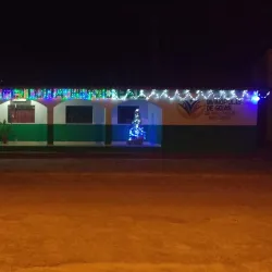 Festival de Divinópolis de Goiás - Divinopolis de Goias