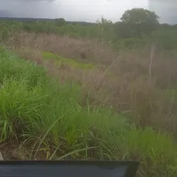 Museu Histórico de Divinópolis de Goiás - Divinopolis de Goias