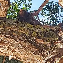 Parque Ecológico Municipal - Divinopolis de Goias