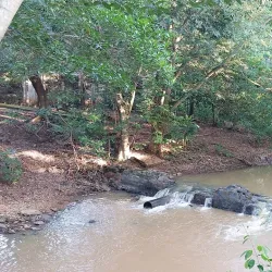 Rio Vermelho - Divinopolis de Goias