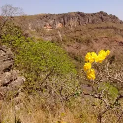 Serra Dourada State Park - Divinopolis de Goias