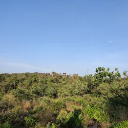 Serra Dourada State Park - Divinopolis de Goias