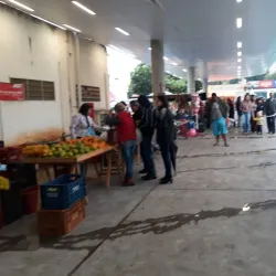Feira Livre de Fernandópolis - Fernandópolis