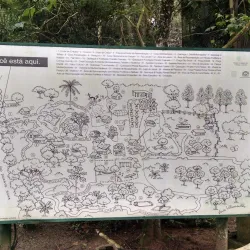 Parque Ecológico Municipal - Fernandópolis