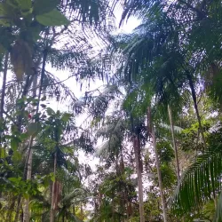 Parque Ecológico Municipal - Fernandópolis