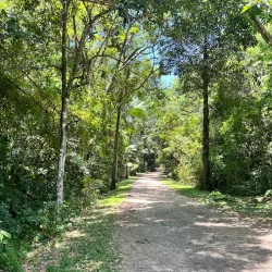 Parque Ecológico Municipal - Fernandópolis