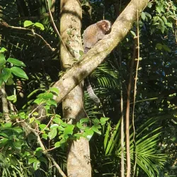 Parque Ecológico Municipal - Fernandópolis