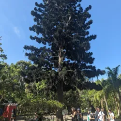 Parque Ecológico Municipal - Fernandópolis