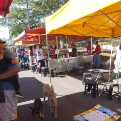 Feira Livre de Ferraz de Vasconcelos - Ferraz de Vasconcelos