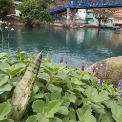 Barra da Lagoa - Florianopolis