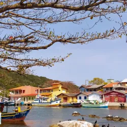 Barra da Lagoa - Florianopolis