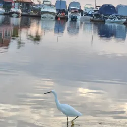Lagoa da Conceição - Florianopolis