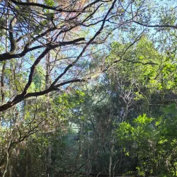 Parque Estadual do Rio Vermelho - Florianopolis