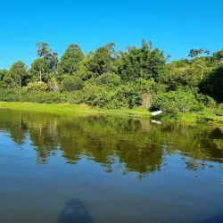 Parque Estadual do Rio Vermelho - Florianopolis