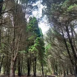 Parque Estadual do Rio Vermelho - Florianopolis