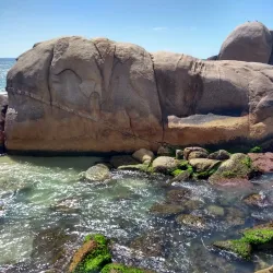 Praia Mole - Florianopolis