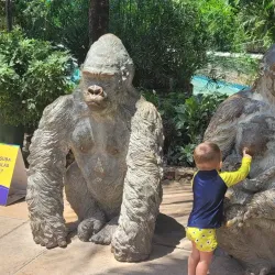 Beach Park - Fortaleza